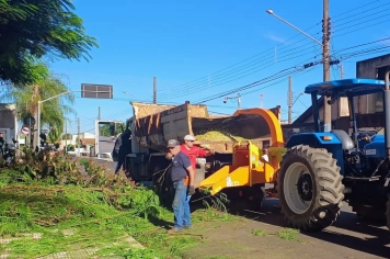 RESIDUOS VERDES - DESTINAÇÃO.