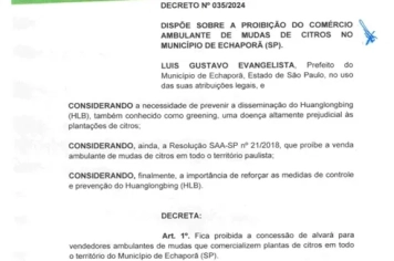 CUIDADO AO COMPRAR MUDAS DE CITROS !