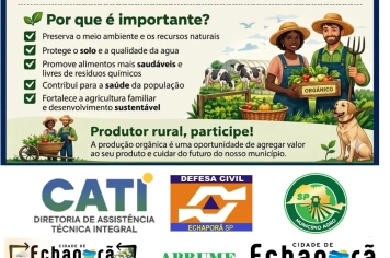 O QUE É AGRICULTURA ORGÂNICA ?