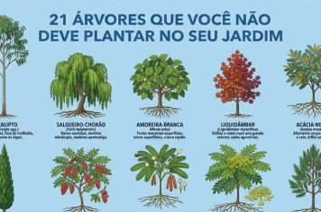 DICAS DE ARVORES, TOXICAS, AGRESSIVAS E INVASORAS