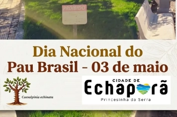 DIA NACIONAL DO PAU BRASIL