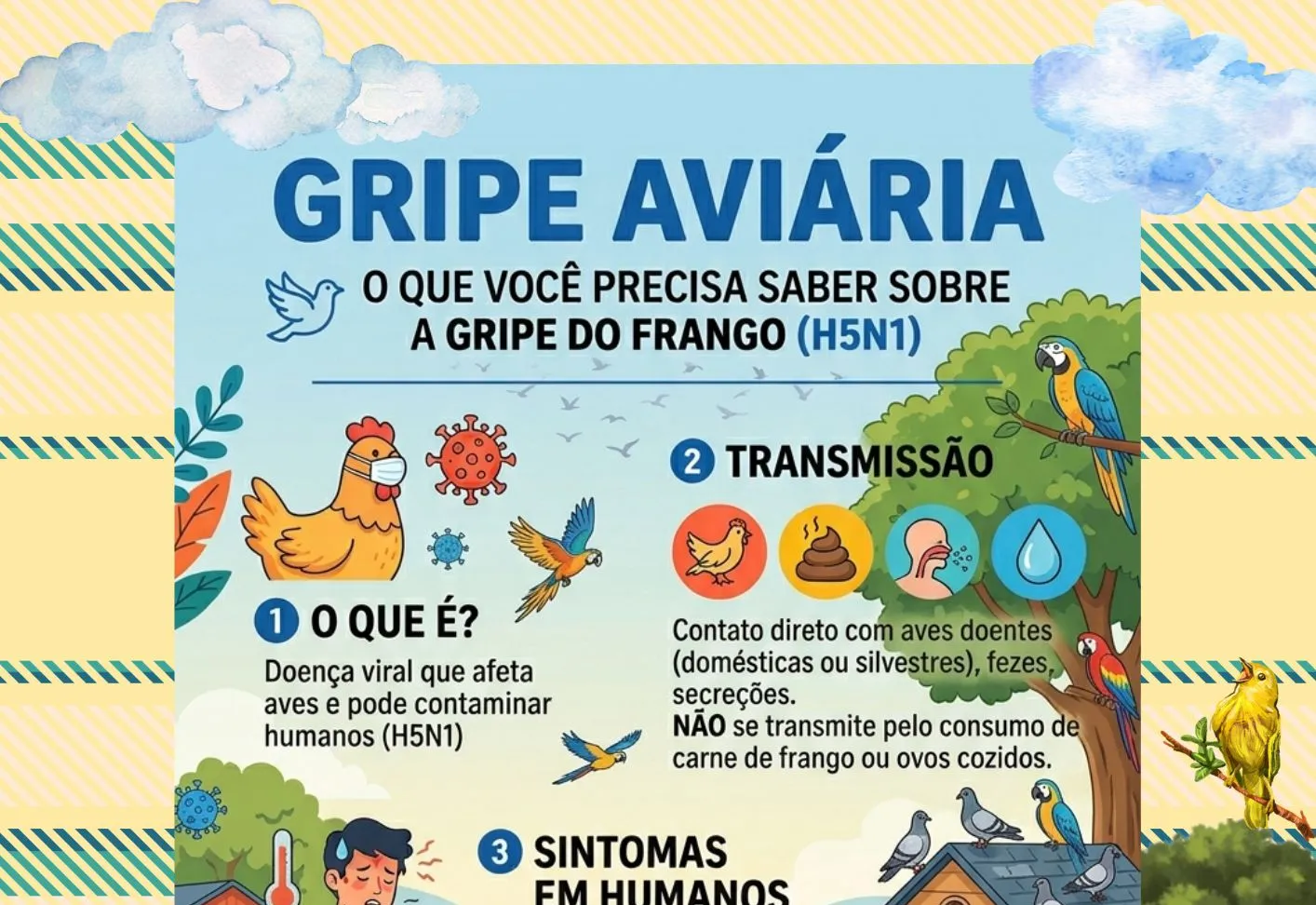 GRIPE AVIÁRIA - PREVENIR É PRECISO