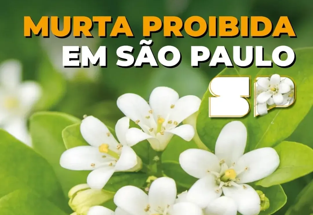 PROIBIÇÃO DA ÁRVORE MURTA