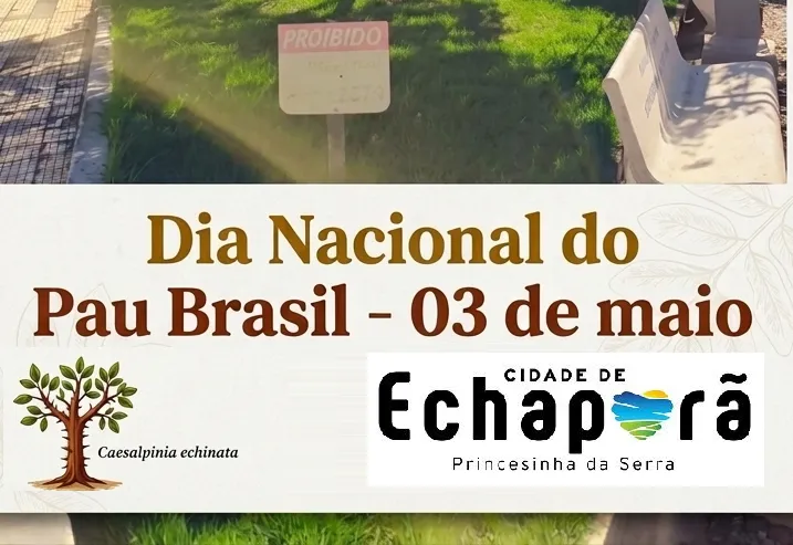 DIA NACIONAL DO PAU BRASIL