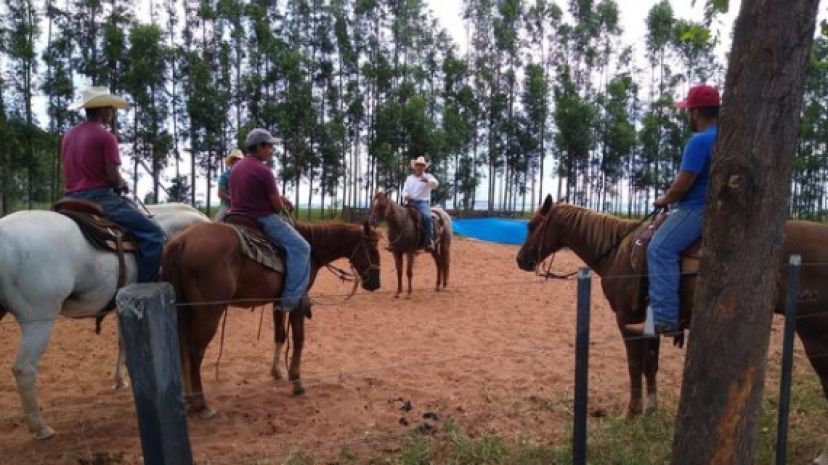 Parceria entre Prefeitura Municipal, SENAR e Sindicato Rural de Assis oferece Curso de Rédeas.