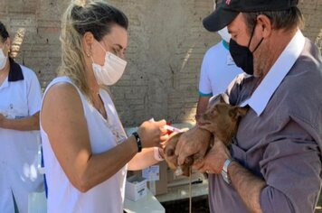 Ação contra a raiva em cães e gatos vacina mais de 700 animais.