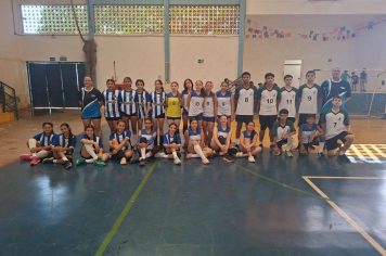Voleibol