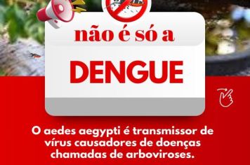 ALERTA SOBRE ARBOVIROSES 