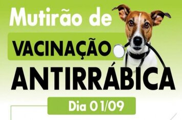 Campanha de vacinação antirrábica