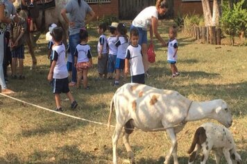 Alunos da Creche Municipal participam de atividade extraclasse em um sítio