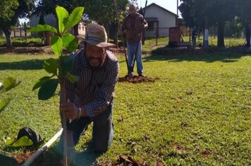 Plantio de arvores na Pista de caminhada