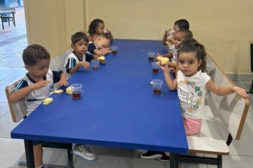 Pólo Férias: Creche Municipal de Echaporã oferece suporte às famílias no período de férias escolares