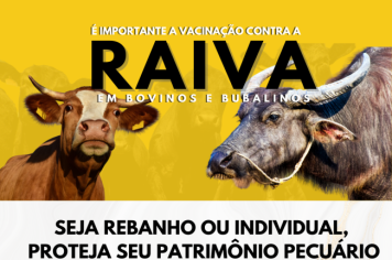 VACINAÇÃO CONTRA RAIVA EM BOVINOS E BUBALINOS
