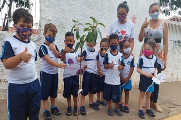 Alunos da rede municipal de ensino realizam plantio de arvores.