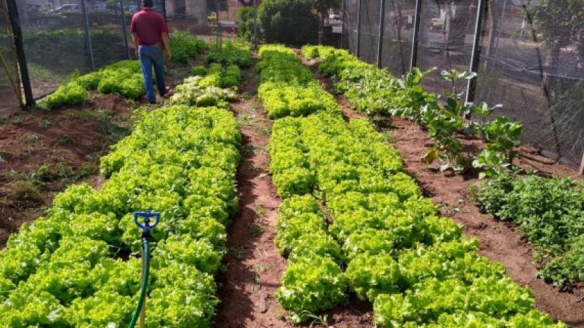 Projeto Social busca a Inclusão Social