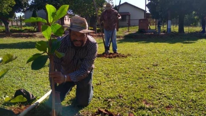 Plantio de arvores na Pista de caminhada