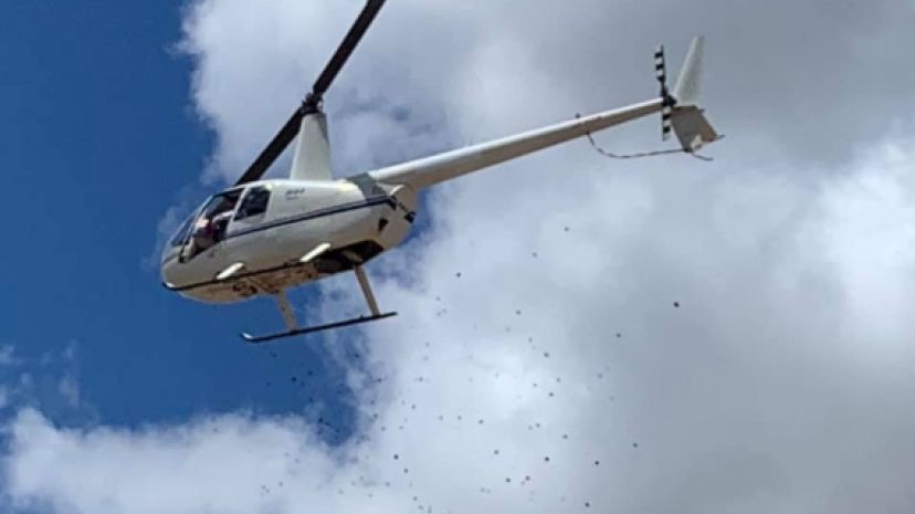 PREFEITURA REALIZA HOMENAGEM AOS FINADOS NO CEMITÉRIO MUNICIPAL.