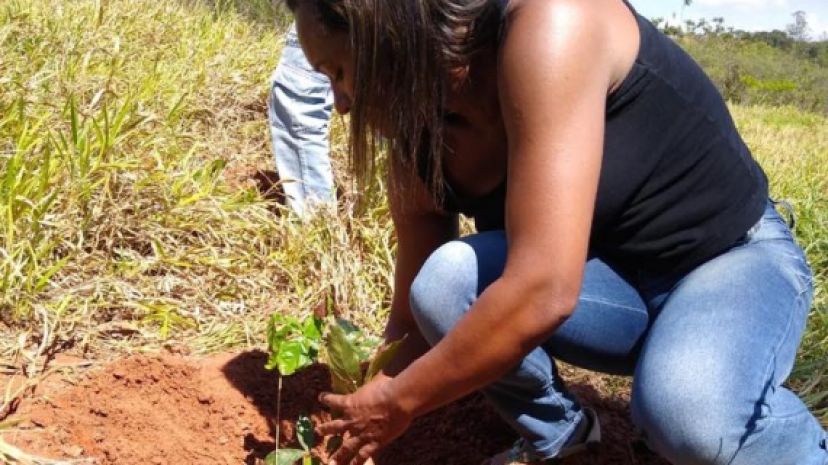 Passeio ciclístico, plantio de árvores e mobilização encerram atividades da Semana da Árvore