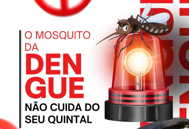 Alerta de Dengue: período de chuvas exige atenção redobrada